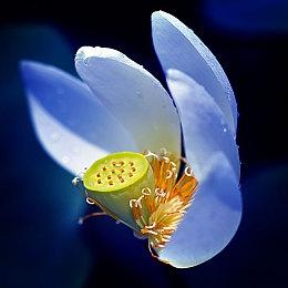 动作冒险游戏《奇异世界：灵魂风暴 增强版》现已在Steam发售